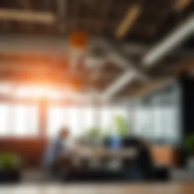 Dynamic Work Environments in Dubai Diverse workspace environments in Dubai for expats
