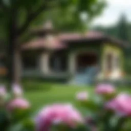 A picturesque villa in Shakhbout surrounded by lush greenery