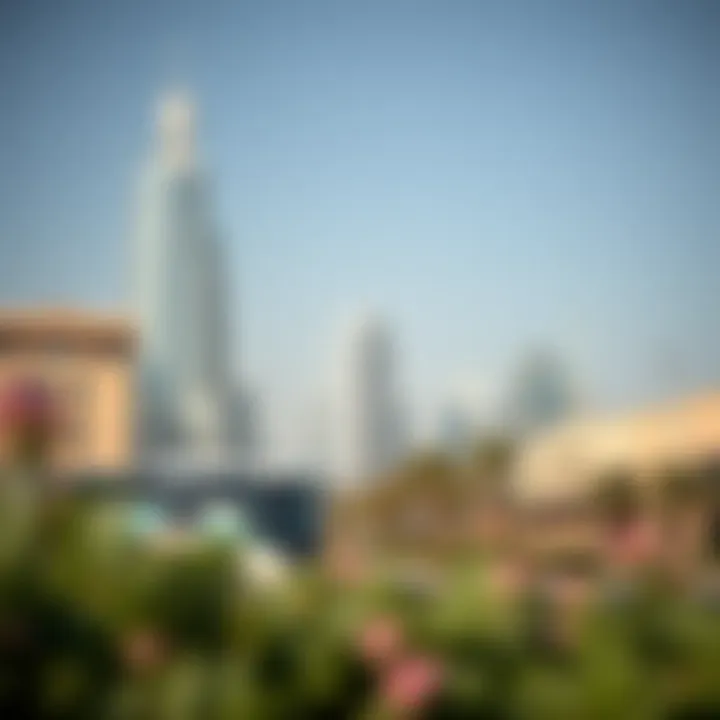Reportage on the UAE: An In-Depth Exploration Summary