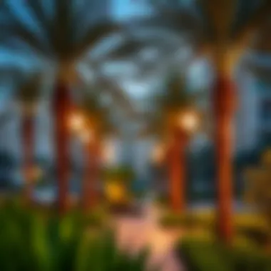 Community Parks Enhancing Dubai's Residential Areas Vibrant community spaces and parks in a Dubai neighborhood