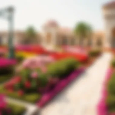 Aerial view of the Rose Garden showcasing its vibrant flower beds