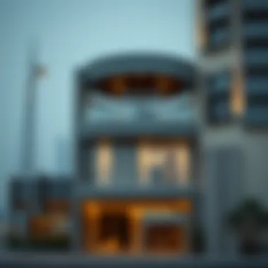 Visual representation of social support in Dubai