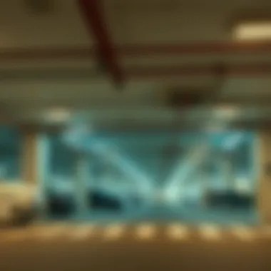 Cutting-Edge Parking Technologies in Dubai Innovative parking technology solutions for urban environments