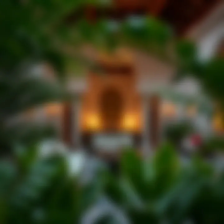 An outdoor majlis setting surrounded by lush greenery and inviting ambiance.