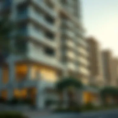 Understanding Big Ticket Costs in Dubai Real Estate Summary Understanding Big Ticket Costs in Dubai Real Estate Summary