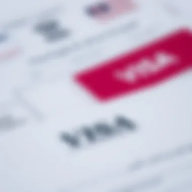 Essential Visa Documentation A close-up of official documents and forms related to visa applications
