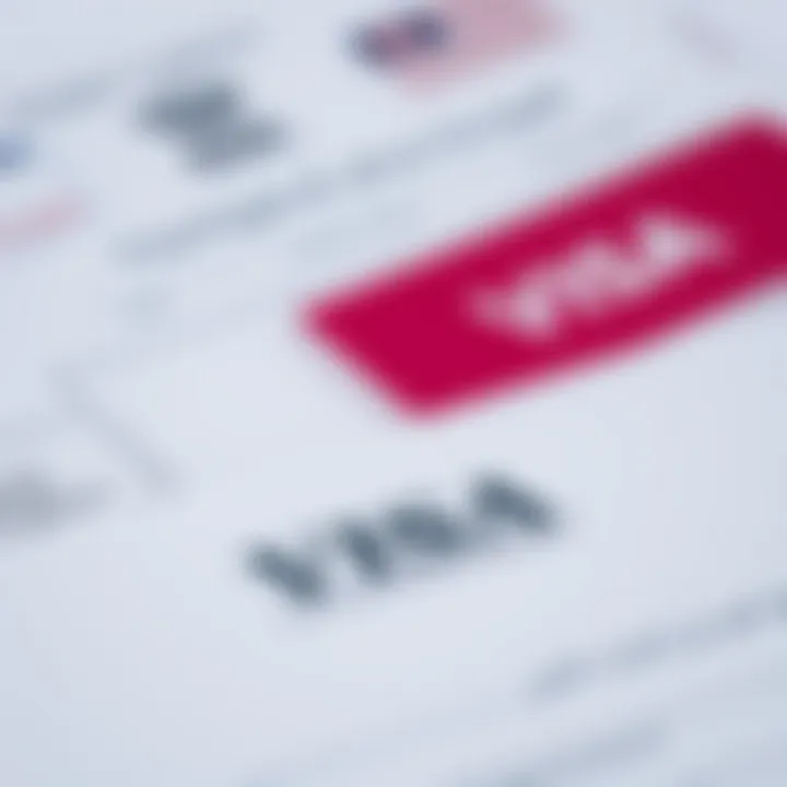 Essential Visa Documentation A close-up of official documents and forms related to visa applications