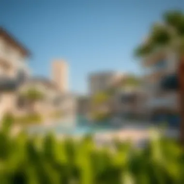 Understanding Entry Fees at Riverland Dubai Summary Understanding Entry Fees at Riverland Dubai Summary