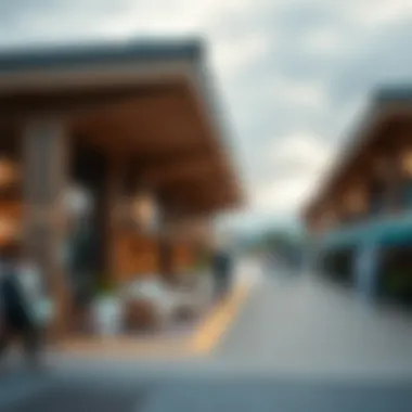 Understanding Ticket Pricing for Global Village Summary