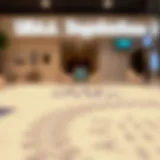 Overview of UAE visa regulations