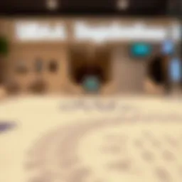 Overview of UAE visa regulations