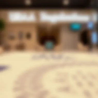 Understanding UAE Visa Regulations Overview of UAE visa regulations